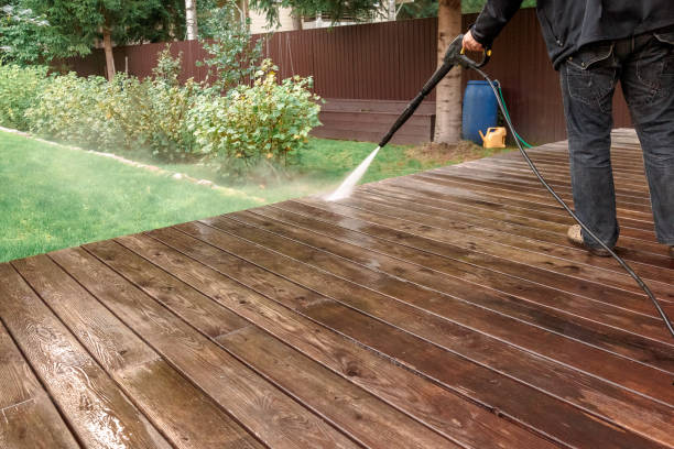 Best Boat and Dock Cleaning  in Denison, IA