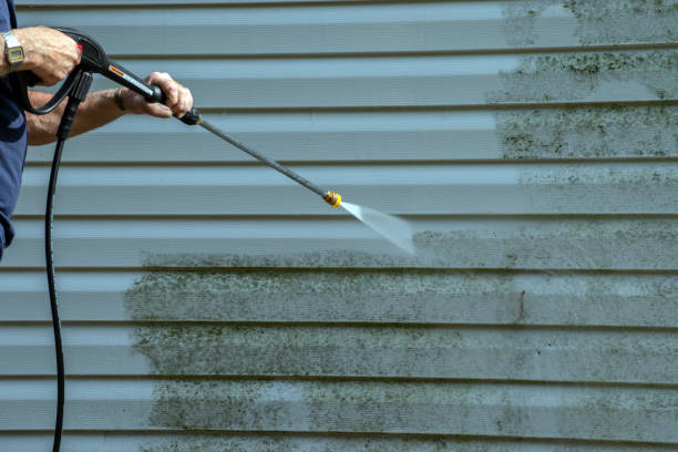 Best Rust Removal  in Denison, IA