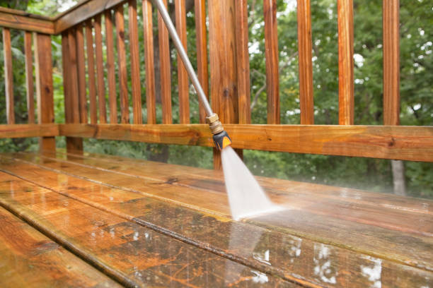 Best Sidewalk and Walkway Cleaning  in Denison, IA