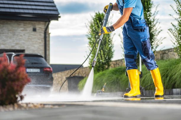 Best Graffiti Removal  in Denison, IA